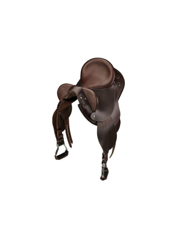 Kimberley Half Breed With Swinging Fender Hart