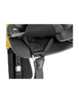 Western Frontier Youth Saddle With Fqhb Black