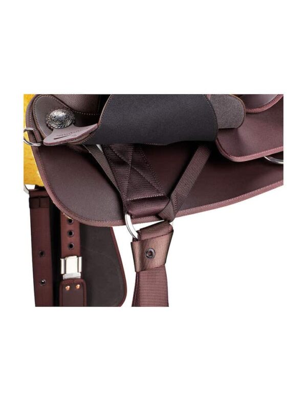 Western Frontier Saddle With Fqhb Brown