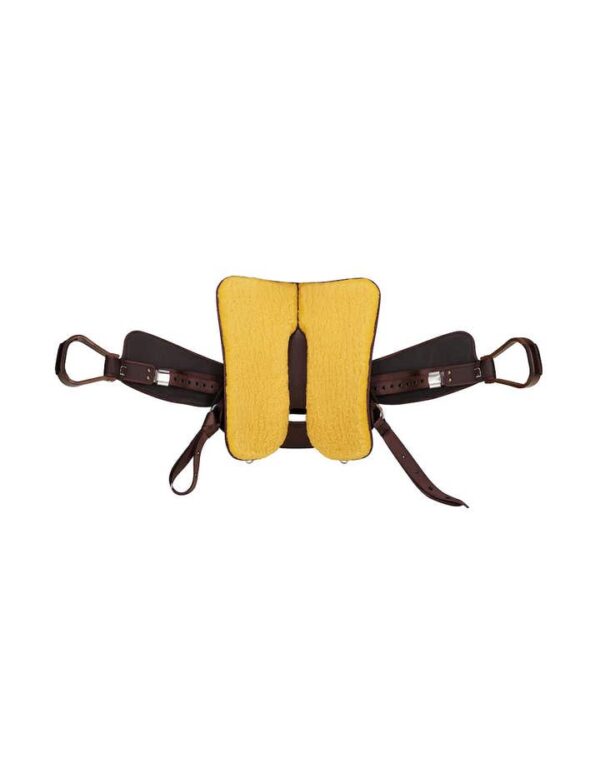 Western Frontier Saddle With Fqhb Brown
