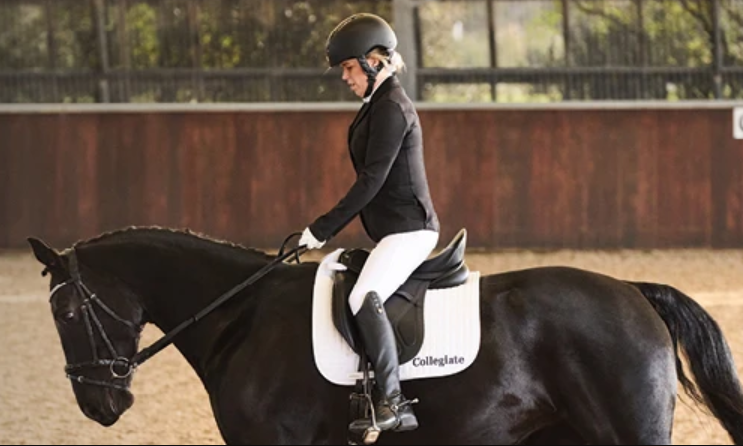 Professional Dressage Saddles for Precision Riding